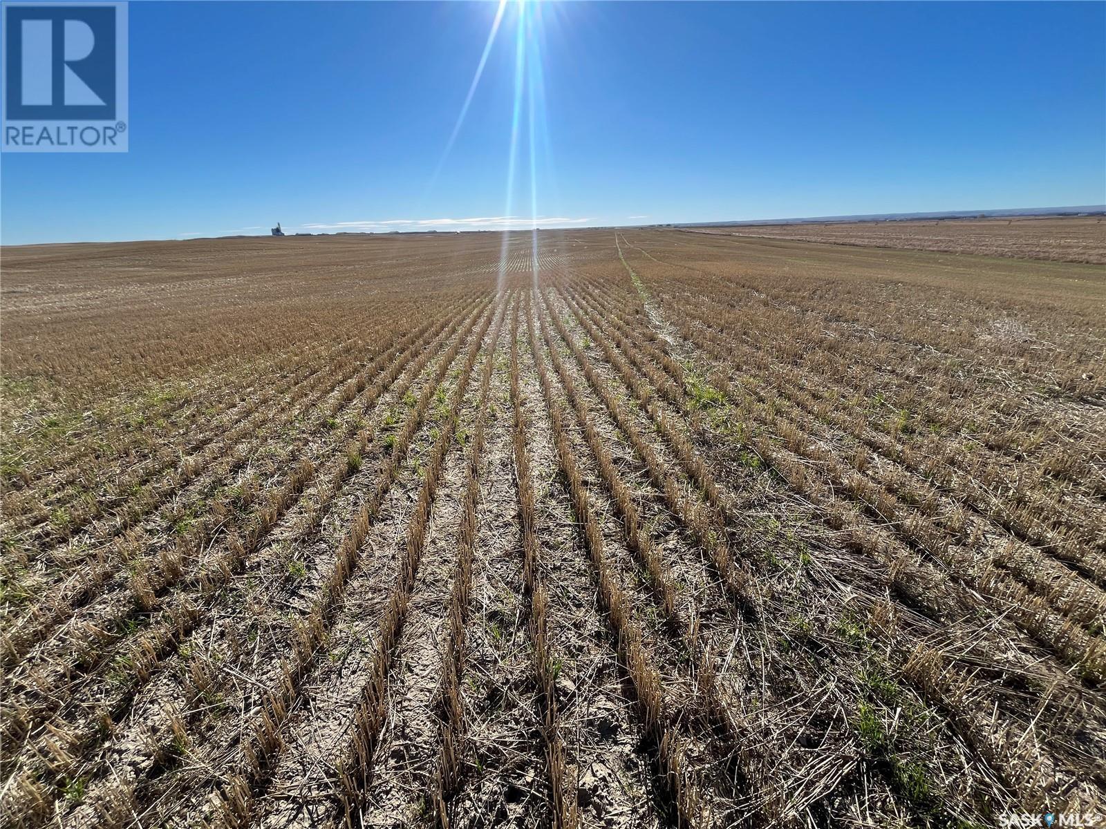 Rudy RM Farm Land, rudy rm no. 284, Saskatchewan