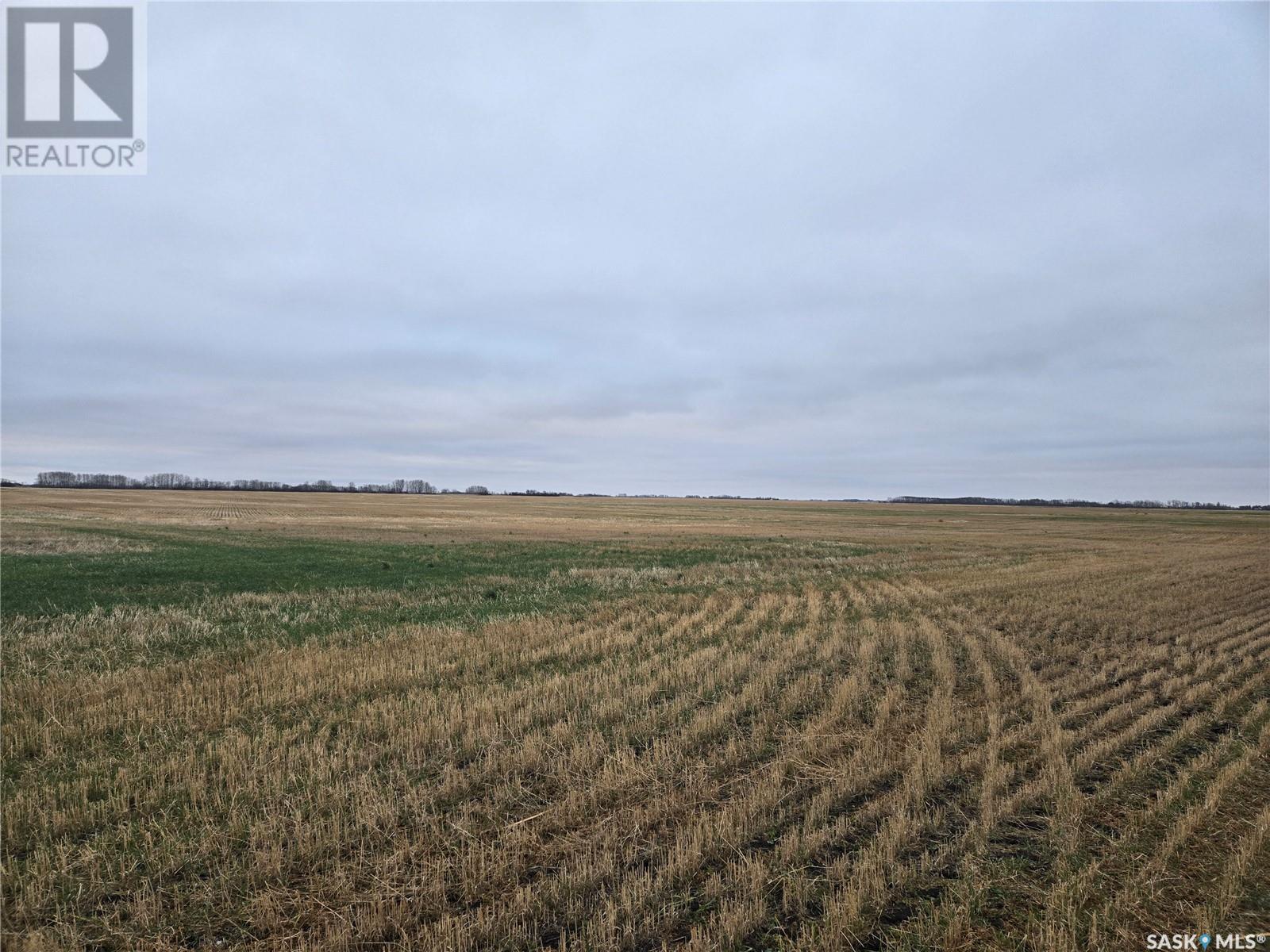 Keyowski Farm, sliding hills rm no. 273, Saskatchewan