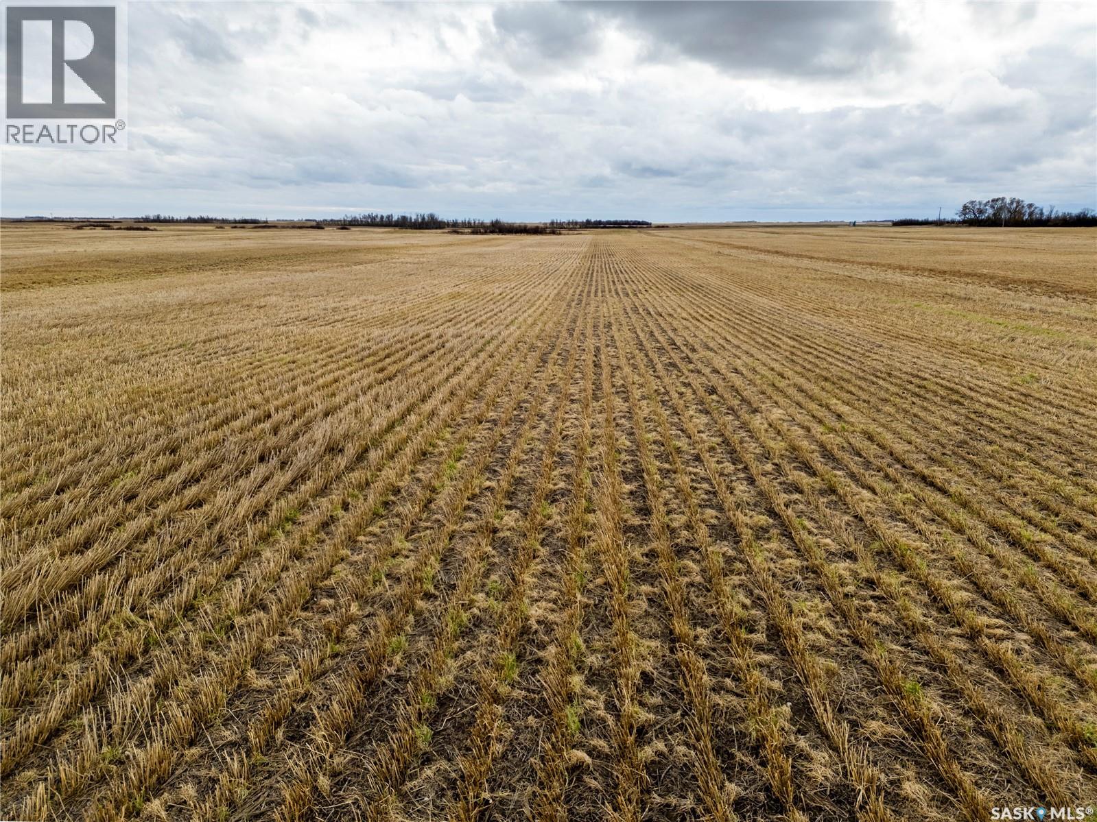 2,326 Acres - Estevan/Macoun, benson rm no. 35, Saskatchewan