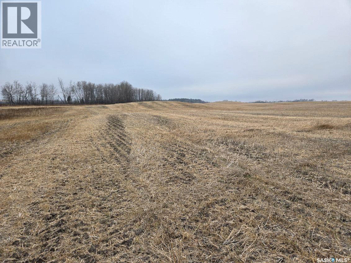 Guenter Land, canwood rm no. 494, Saskatchewan