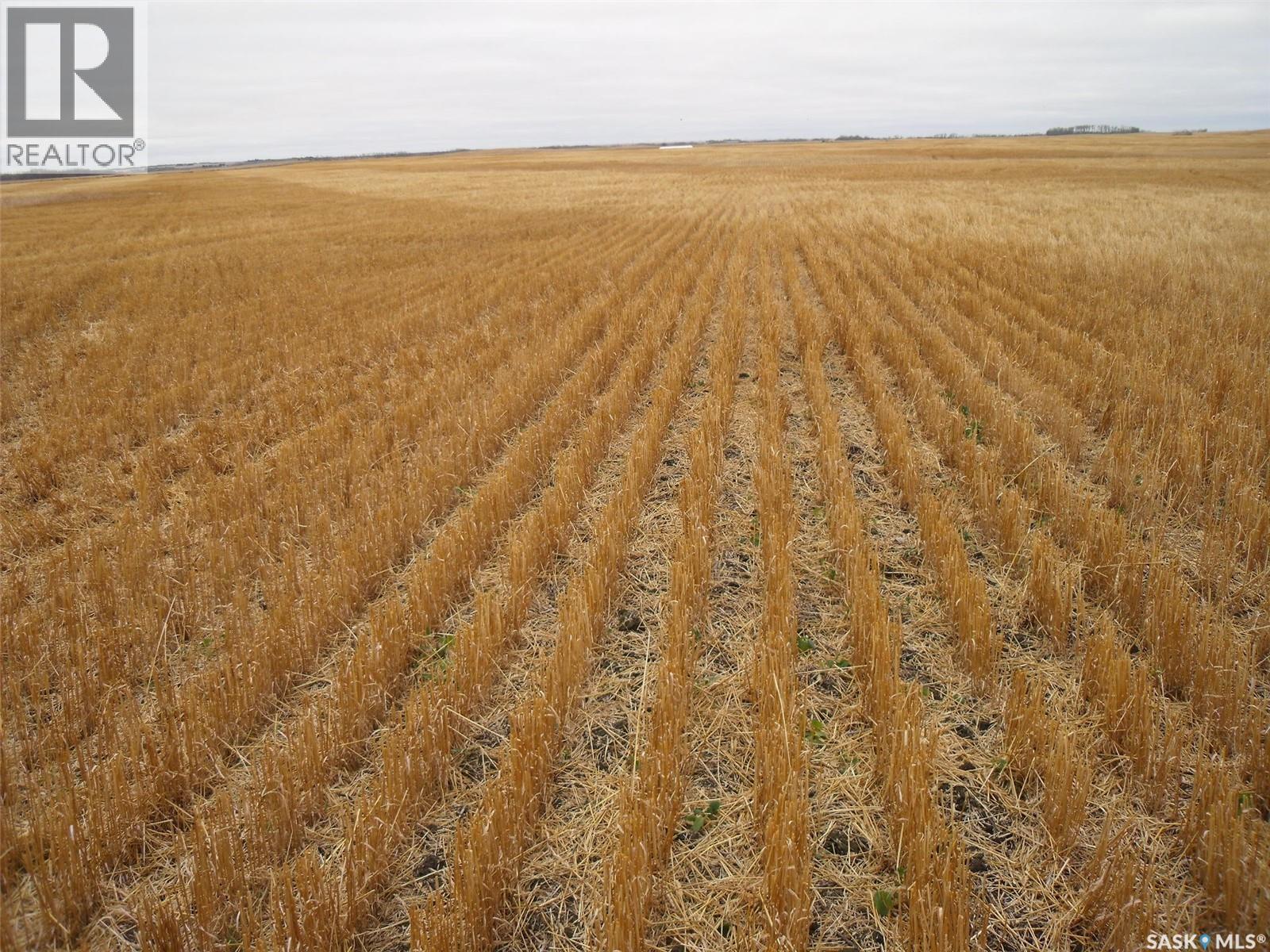 Olsen quarter, birch hills rm no. 460, Saskatchewan