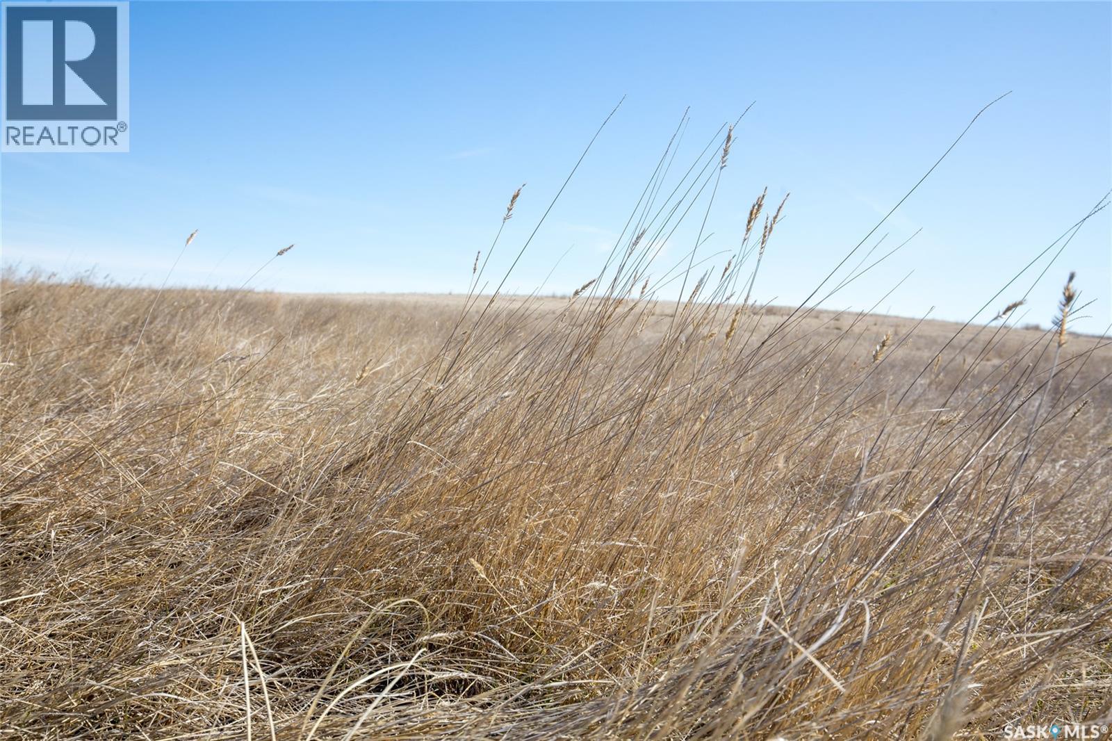 Parkbeg Land - Rm 163, Wheatlands Rm No. 163, Saskatchewan S0H 3K0 - Photo 16 - SK032792