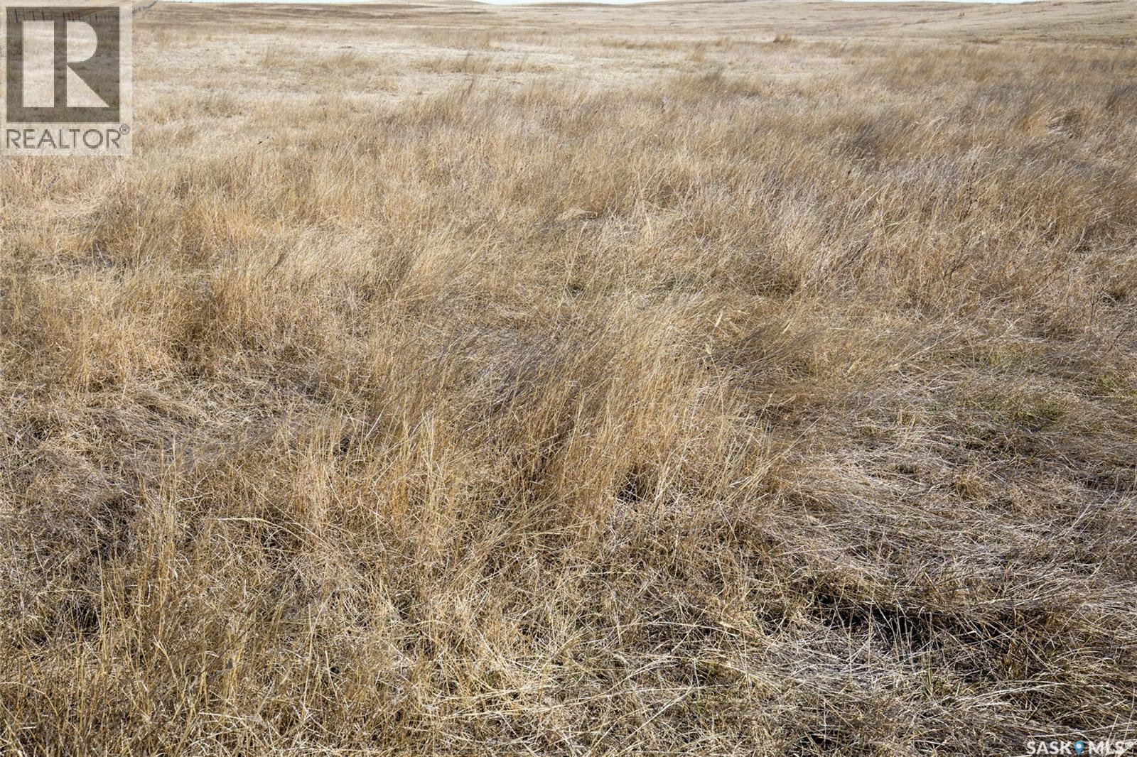 Parkbeg Land - Rm 163, Wheatlands Rm No. 163, Saskatchewan S0H 3K0 - Photo 17 - SK032792