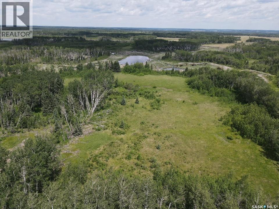 Endeavour Recreation Land, Preeceville Rm No. 334, Saskatchewan S0A 3B0 - Photo 10 - SK033265