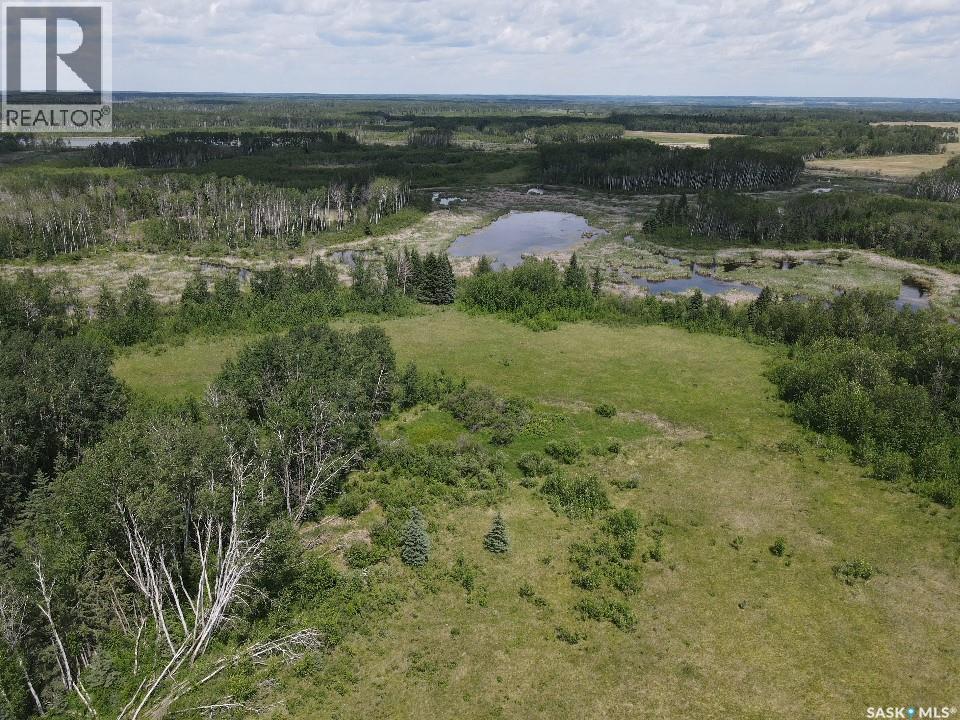 Endeavour Recreation Land, Preeceville Rm No. 334, Saskatchewan S0A 3B0 - Photo 11 - SK033265