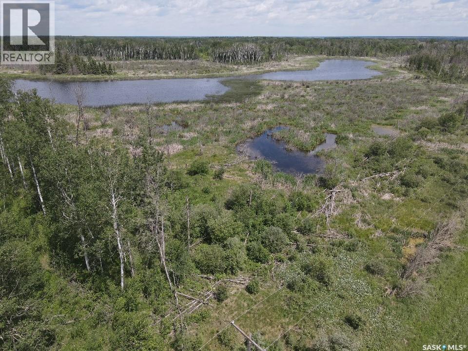 Endeavour Recreation Land, Preeceville Rm No. 334, Saskatchewan S0A 3B0 - Photo 13 - SK033265