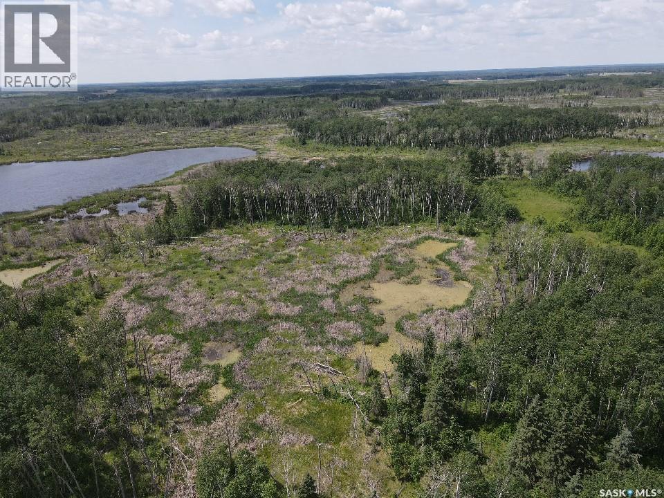 Endeavour Recreation Land, Preeceville Rm No. 334, Saskatchewan S0A 3B0 - Photo 15 - SK033265