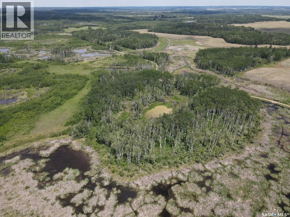 Endeavour Recreation Land, Preeceville Rm No. 334, Saskatchewan S0A 3B0 - Photo 16 - SK033265