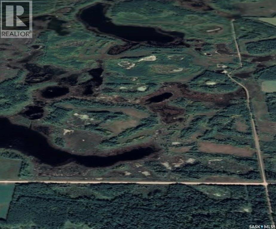 Endeavour Recreation Land, Preeceville Rm No. 334, Saskatchewan S0A 3B0 - Photo 19 - SK033265