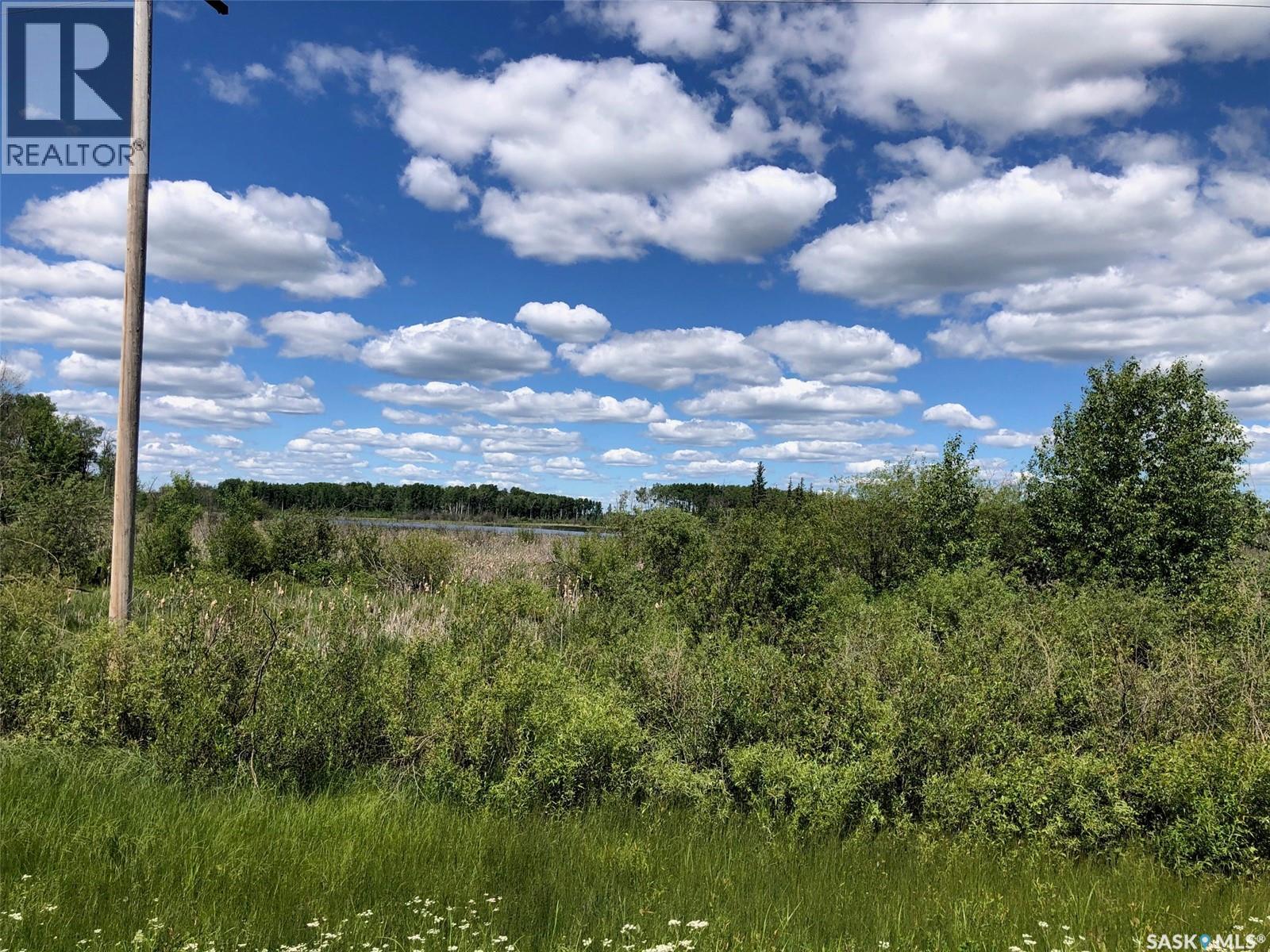 Endeavour Recreation Land, Preeceville Rm No. 334, Saskatchewan S0A 3B0 - Photo 5 - SK033265