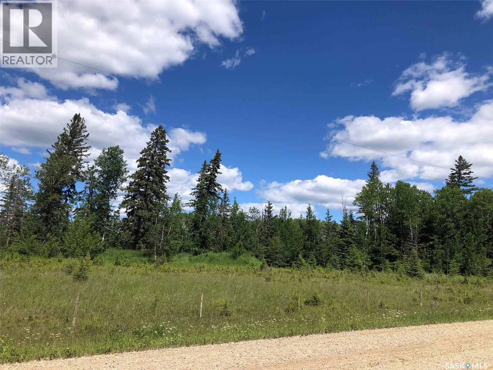 Endeavour Recreation Land, Preeceville Rm No. 334, Saskatchewan S0A 3B0 - Photo 6 - SK033265