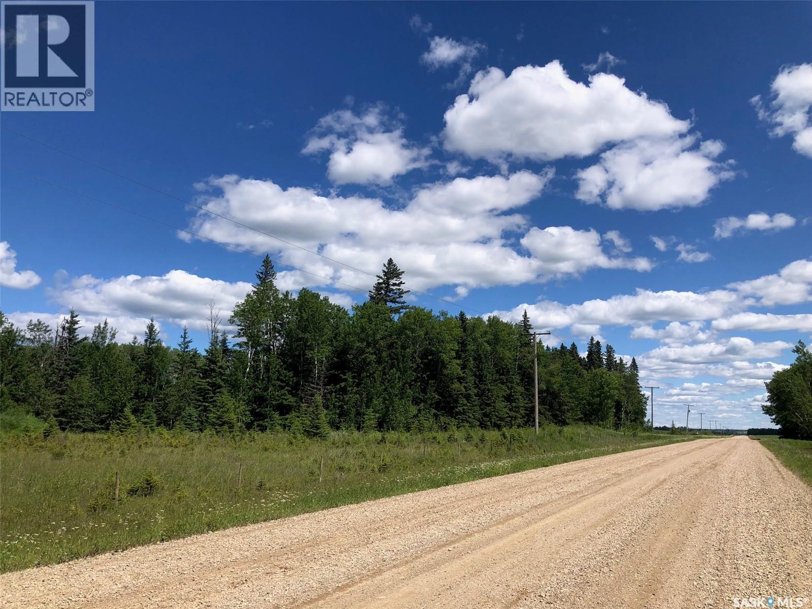 Endeavour Recreation Land, Preeceville Rm No. 334, Saskatchewan S0A 3B0 - Photo 7 - SK033265