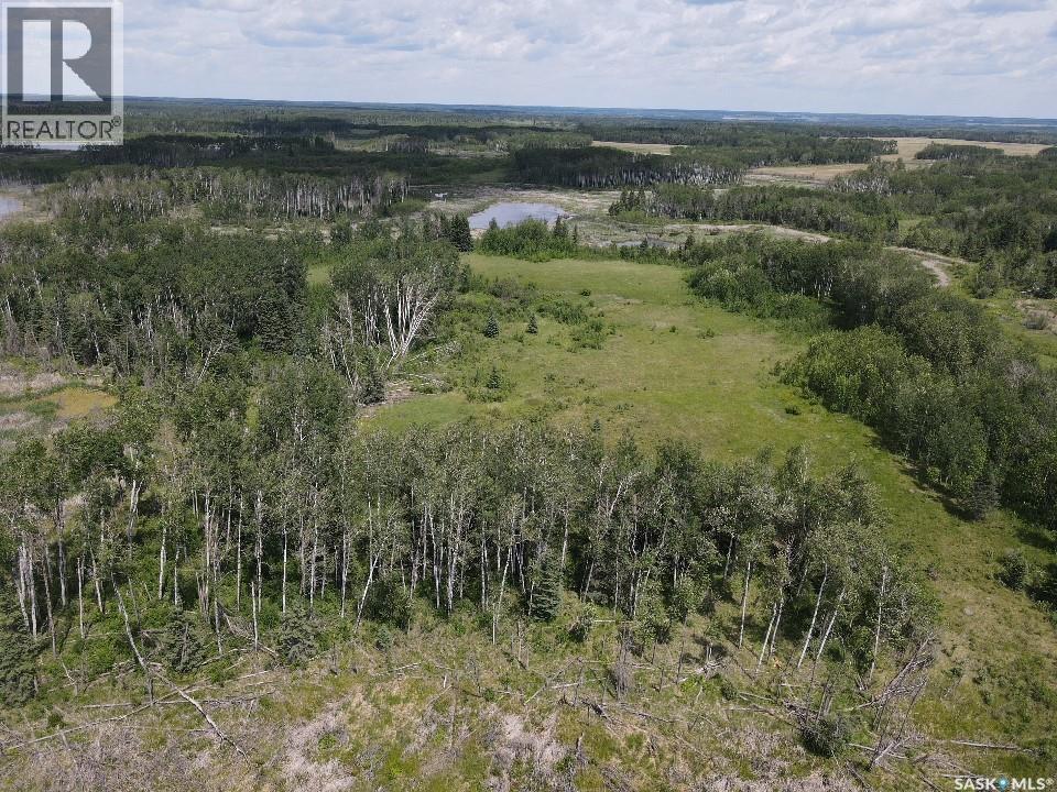 Endeavour Recreation Land, Preeceville Rm No. 334, Saskatchewan S0A 3B0 - Photo 9 - SK033265