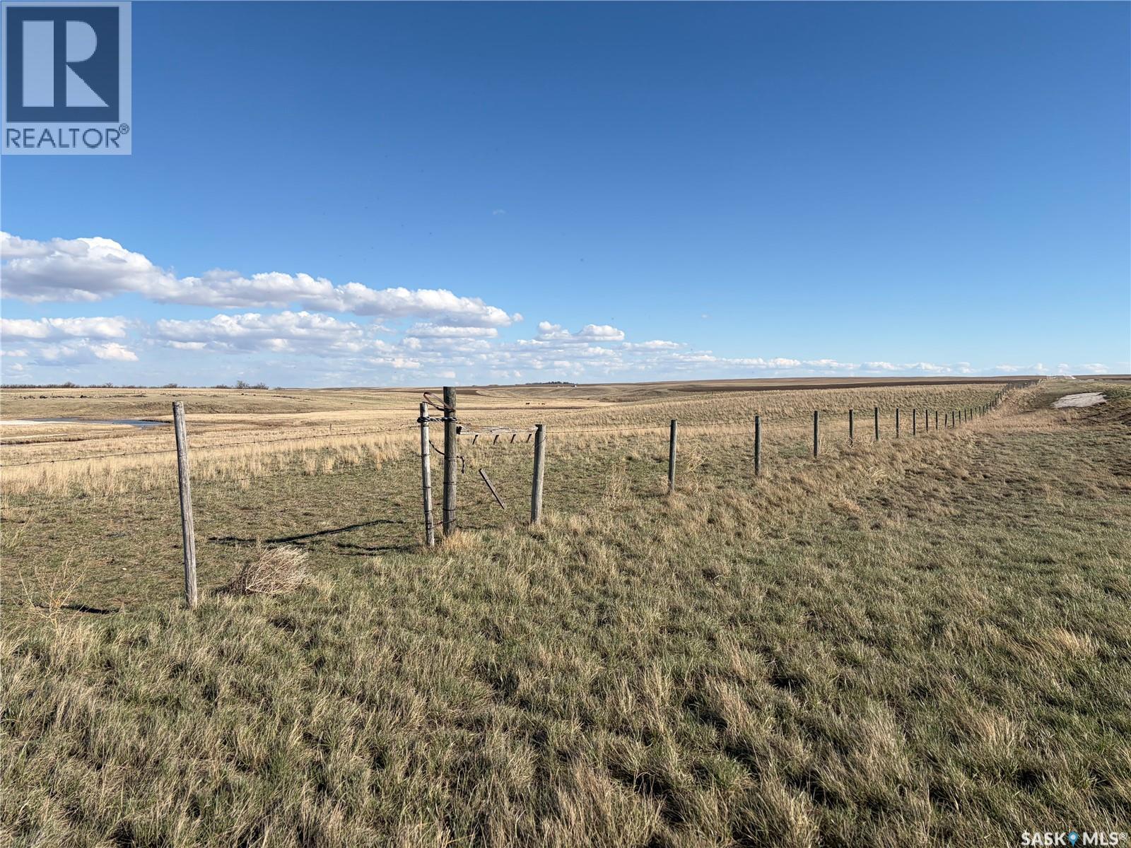 Wallis Farm, Wise Creek Rm No. 77, Saskatchewan S0N 2M0 - Photo 41 - SK034318