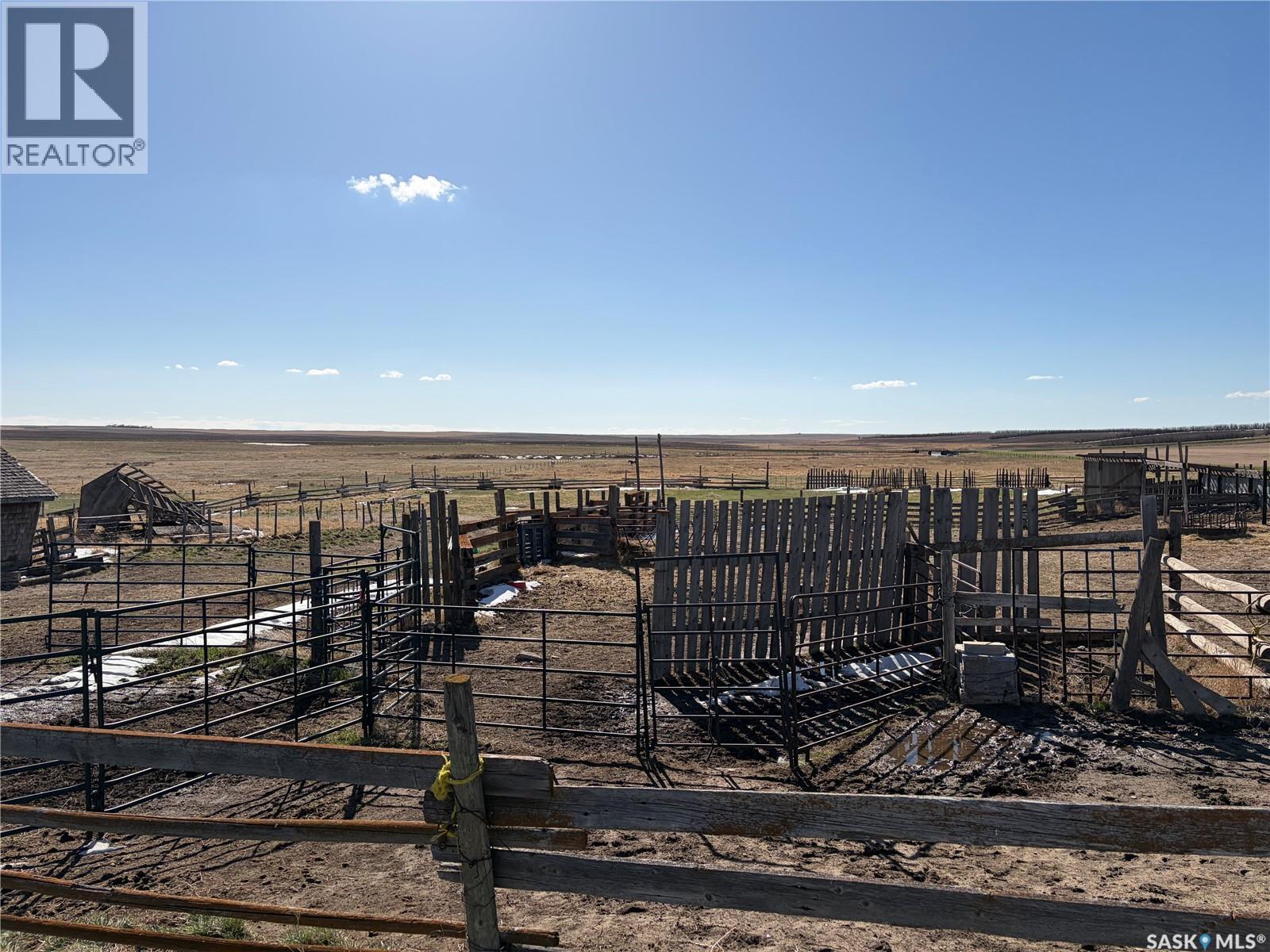 Wallis Farm, Wise Creek Rm No. 77, Saskatchewan S0N 2M0 - Photo 7 - SK034318