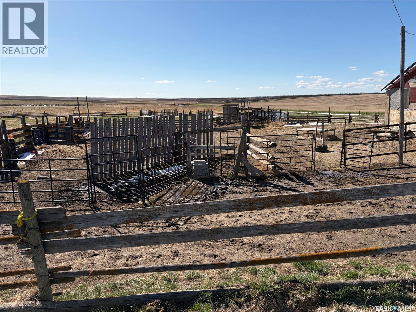 Wallis Farm, Wise Creek Rm No. 77, Saskatchewan S0N 2M0 - Photo 8 - SK034318