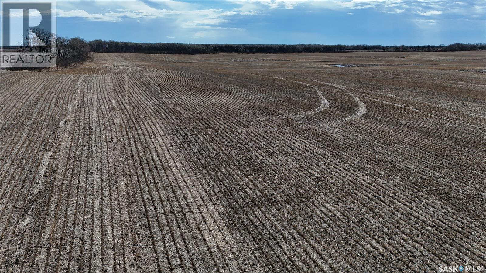 Zehner Quarter - Nw 16-19-18 W2, Edenwold Rm No.158, Saskatchewan S0G 3Z0 - Photo 8 - SK035725