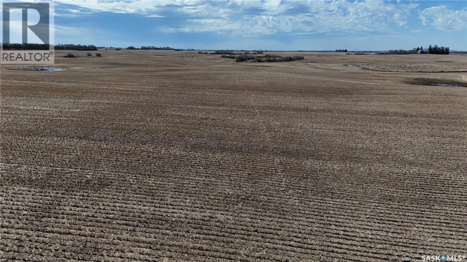 Zehner Quarter - Nw 16-19-18 W2, Edenwold Rm No.158, Saskatchewan S0G 3Z0 - Photo 9 - SK035725