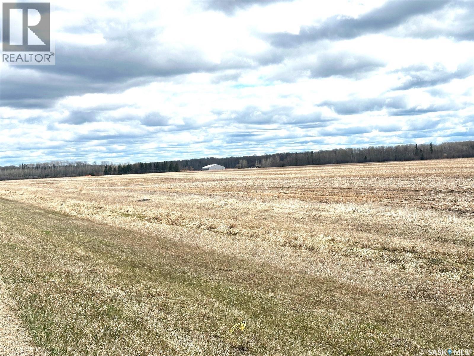 Martin Farm-Somme, Porcupine Rm No. 395, Saskatchewan S0E 1H0 - Photo 30 - SK036036