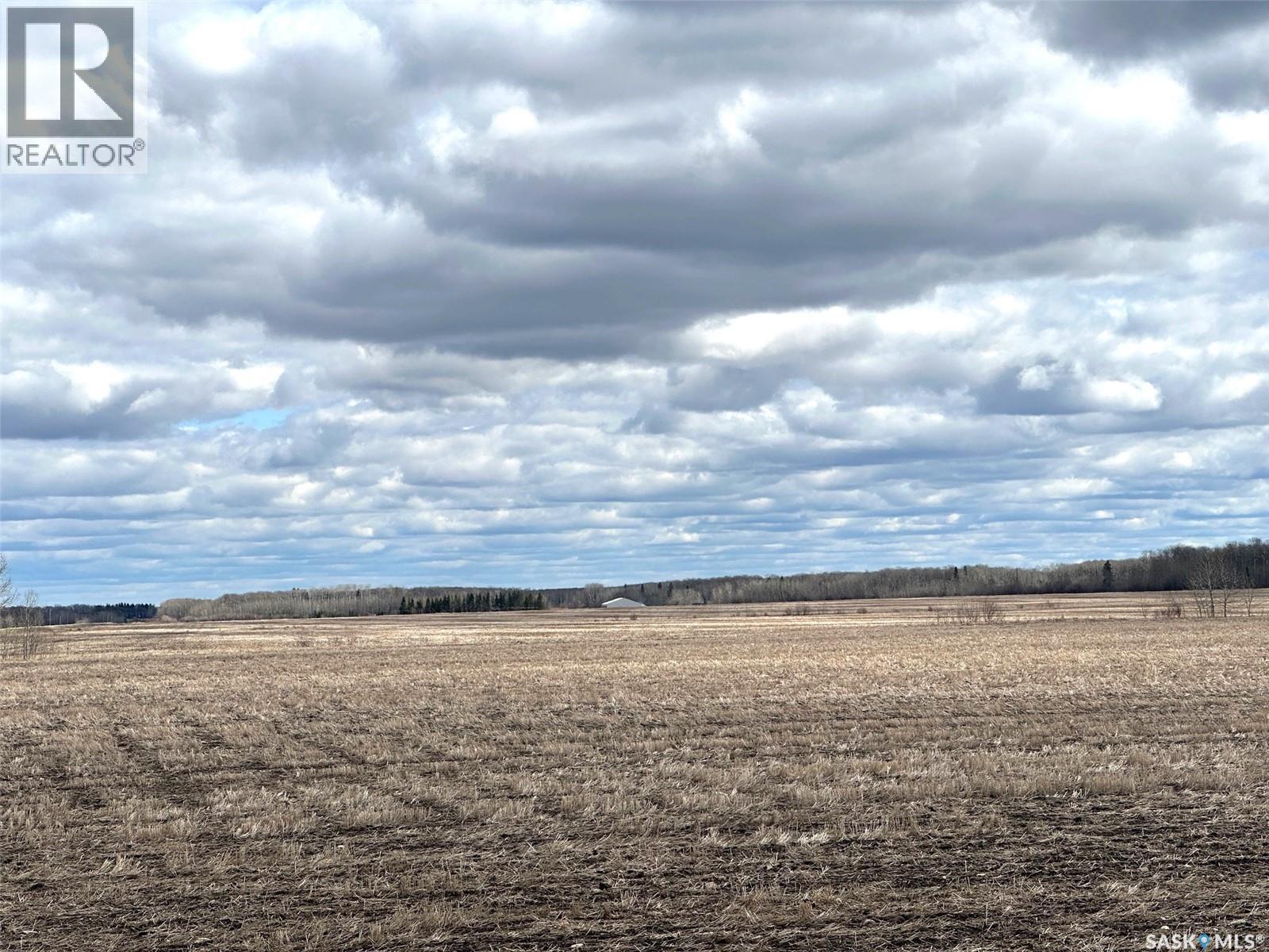 Martin Farm-Somme, Porcupine Rm No. 395, Saskatchewan S0E 1H0 - Photo 32 - SK036036