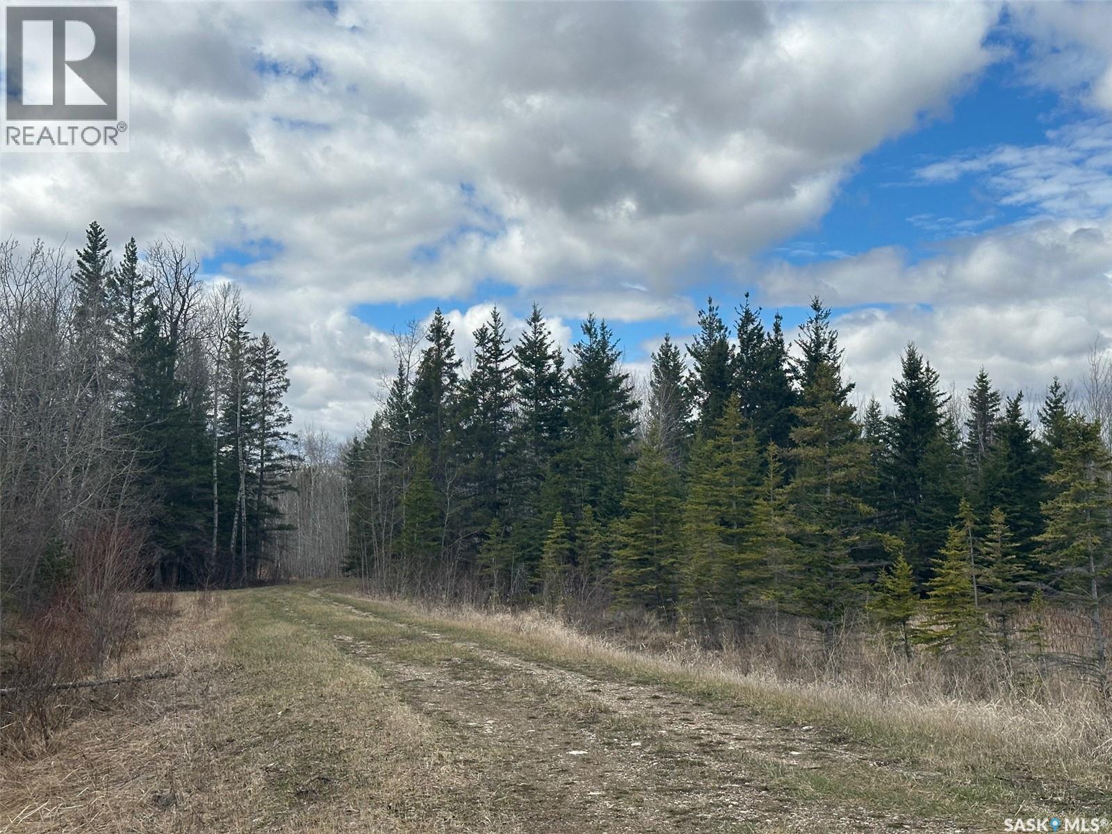 Martin Farm-Somme, Porcupine Rm No. 395, Saskatchewan S0E 1H0 - Photo 36 - SK036036