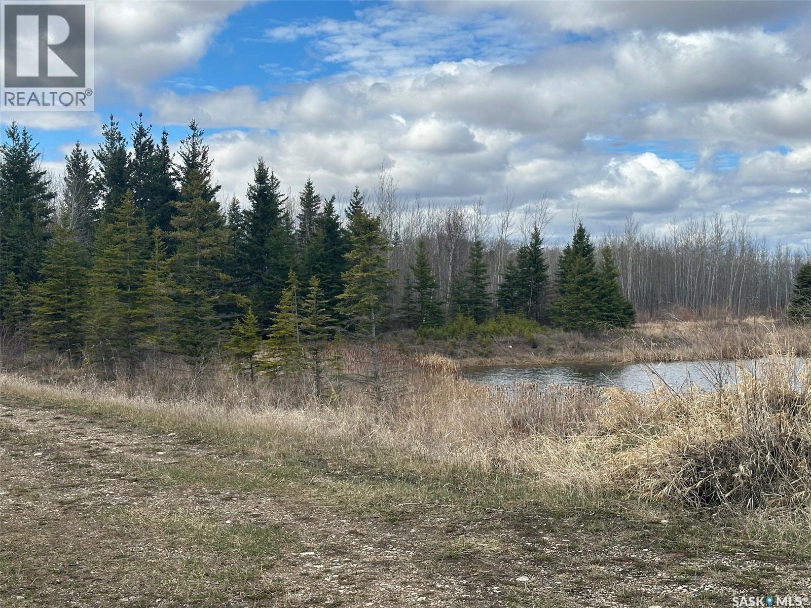 Martin Farm-Somme, Porcupine Rm No. 395, Saskatchewan S0E 1H0 - Photo 37 - SK036036