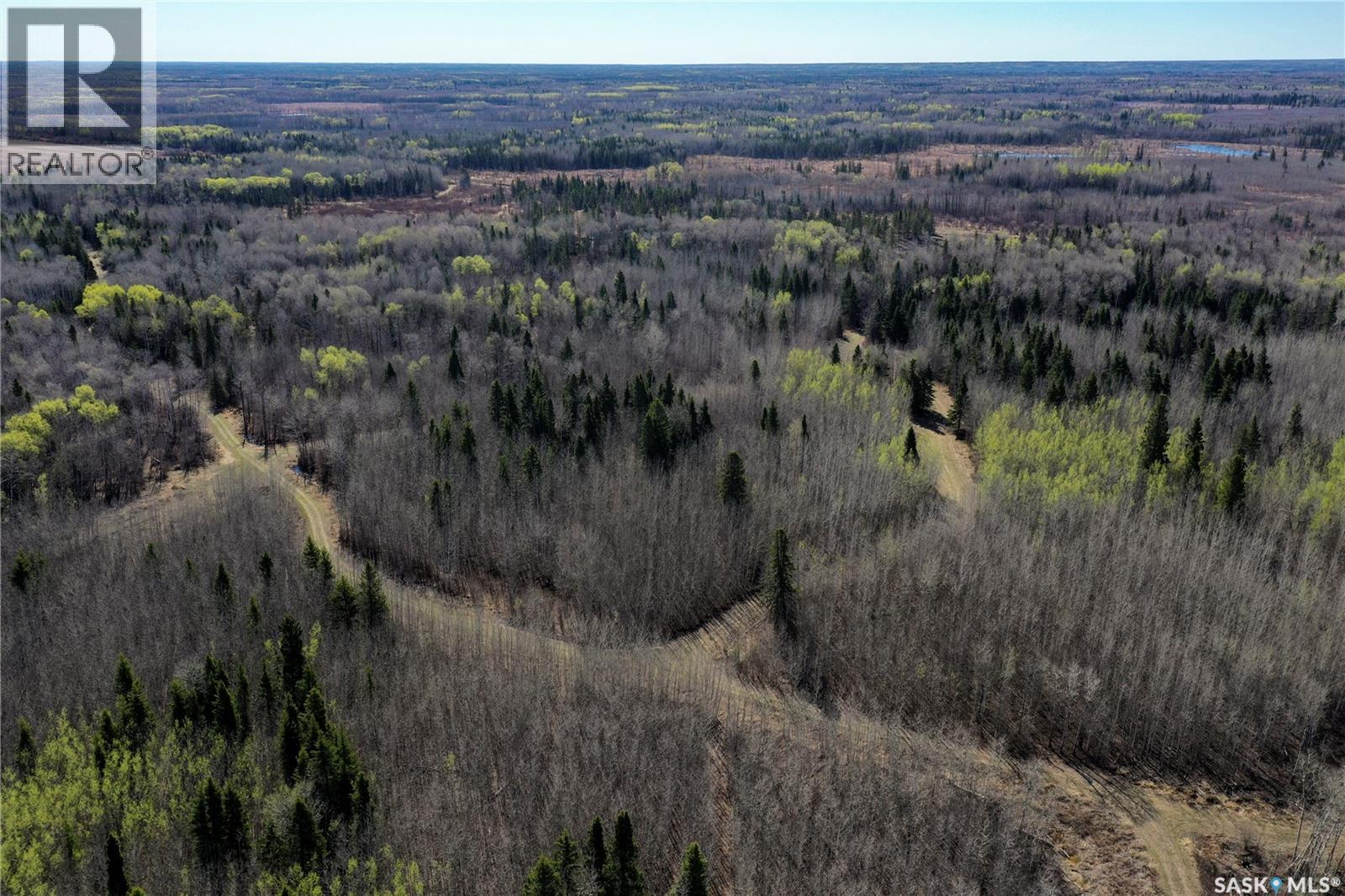 Martin Farm-Somme, Porcupine Rm No. 395, Saskatchewan S0E 1H0 - Photo 42 - SK036036