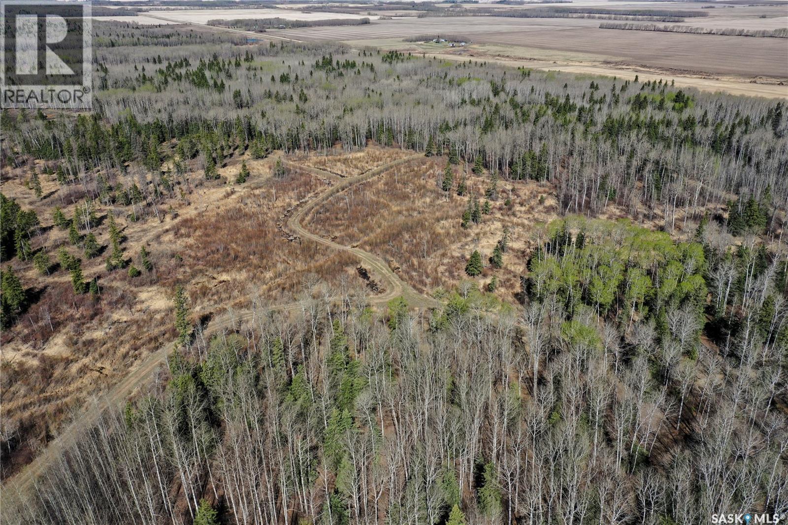 Martin Farm-Somme, Porcupine Rm No. 395, Saskatchewan S0E 1H0 - Photo 43 - SK036036