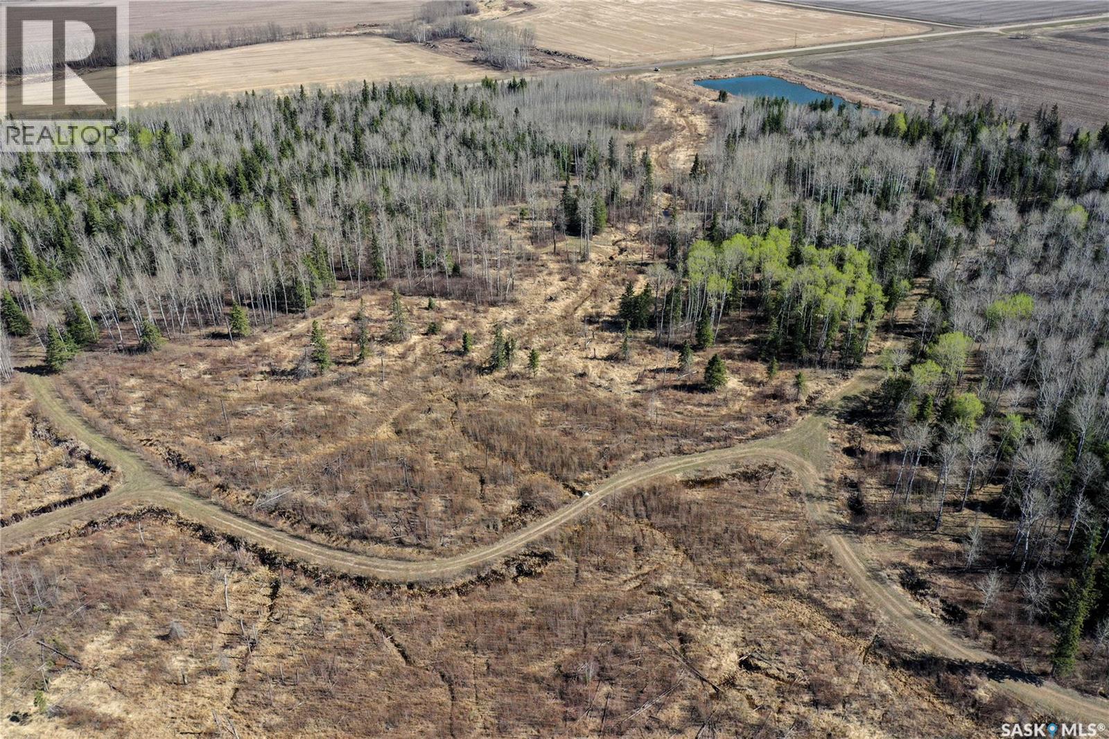 Martin Farm-Somme, Porcupine Rm No. 395, Saskatchewan S0E 1H0 - Photo 51 - SK036036