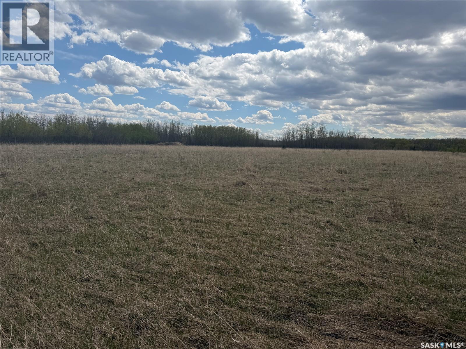 98.7 Acre Aggregate Land 6 Miles South Spiritwood, Spiritwood Rm No. 496, Saskatchewan S0J 2M0 - Photo 18 - SK037045