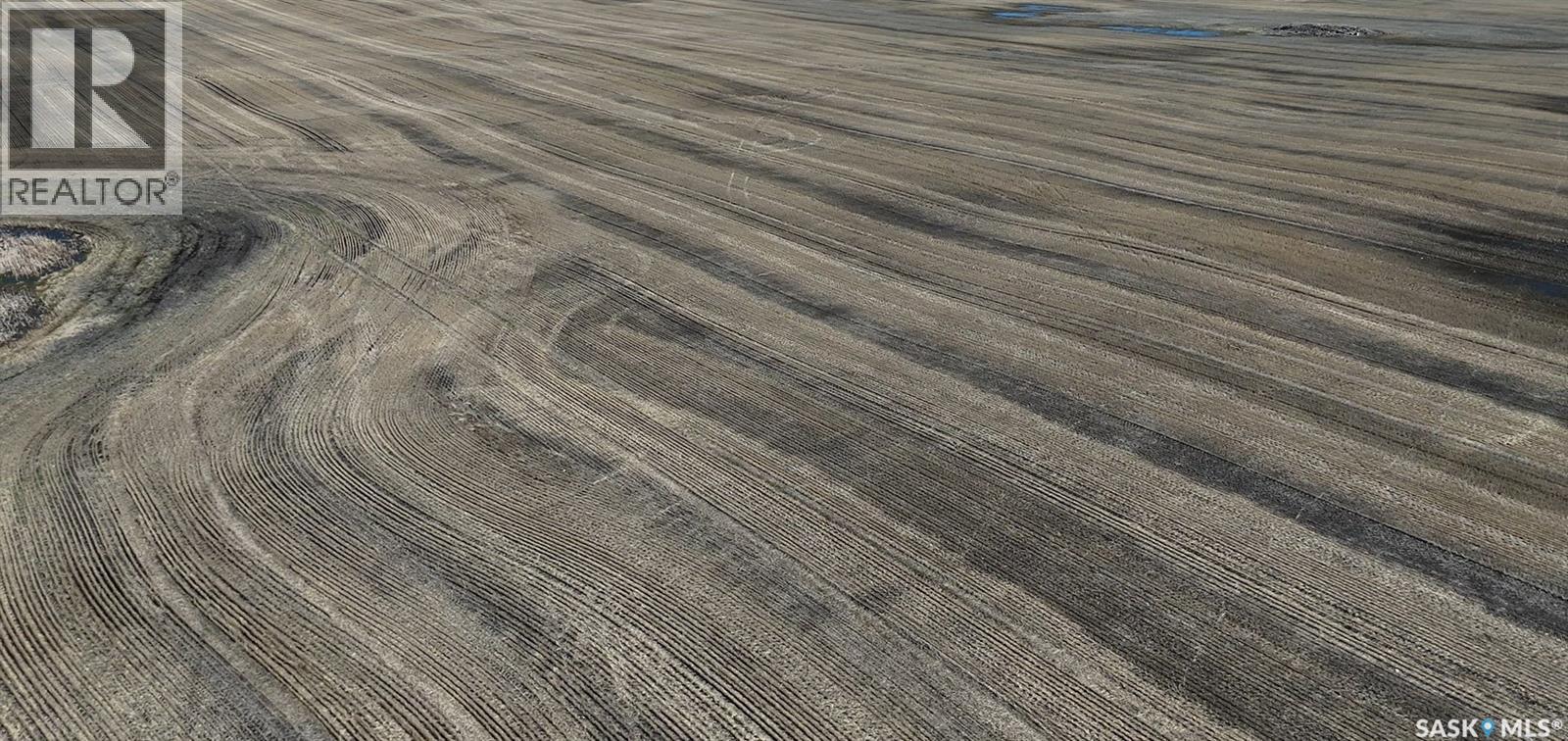 1 Quarter Grainland Near Willowbrook (Oshanek), Orkney Rm No. 244, Saskatchewan S0A 2P0 - Photo 2 - SK037469