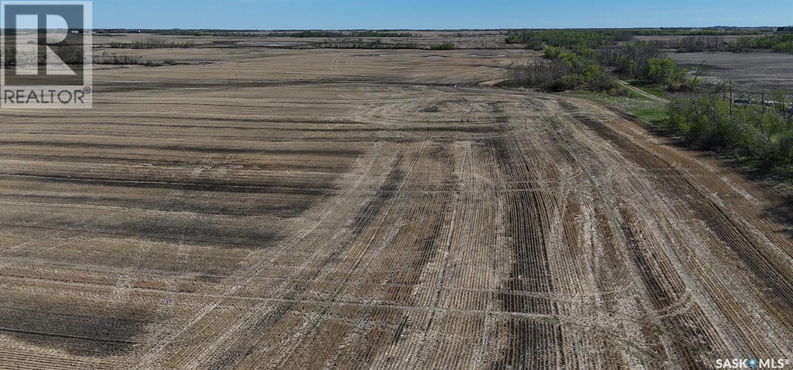 1 Quarter Grainland Near Willowbrook (Oshanek), Orkney Rm No. 244, Saskatchewan S0A 2P0 - Photo 3 - SK037469