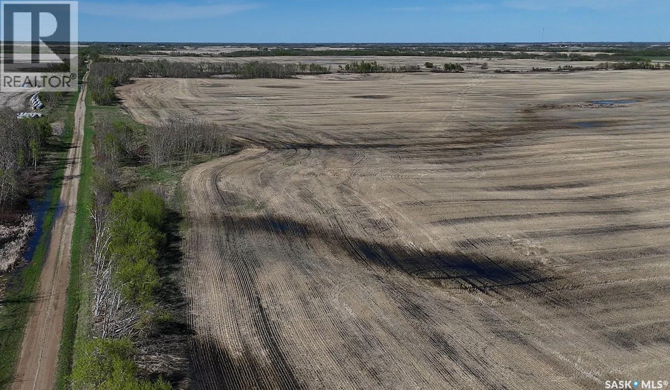 1 Quarter Grainland Near Willowbrook (Oshanek), Orkney Rm No. 244, Saskatchewan S0A 2P0 - Photo 4 - SK037469