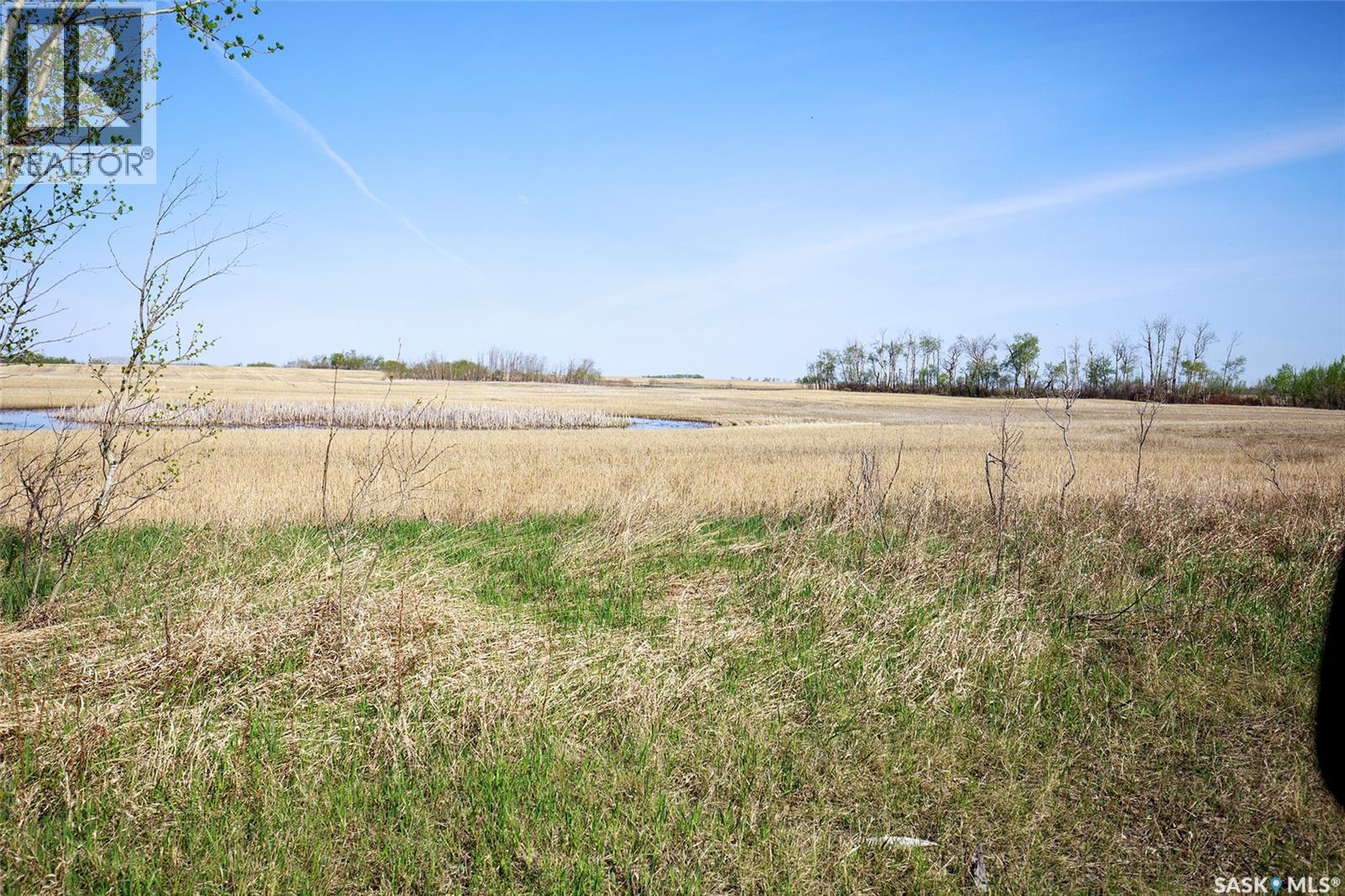 1 Quarter Grainland Near Willowbrook (Oshanek), Orkney Rm No. 244, Saskatchewan S0A 2P0 - Photo 5 - SK037469