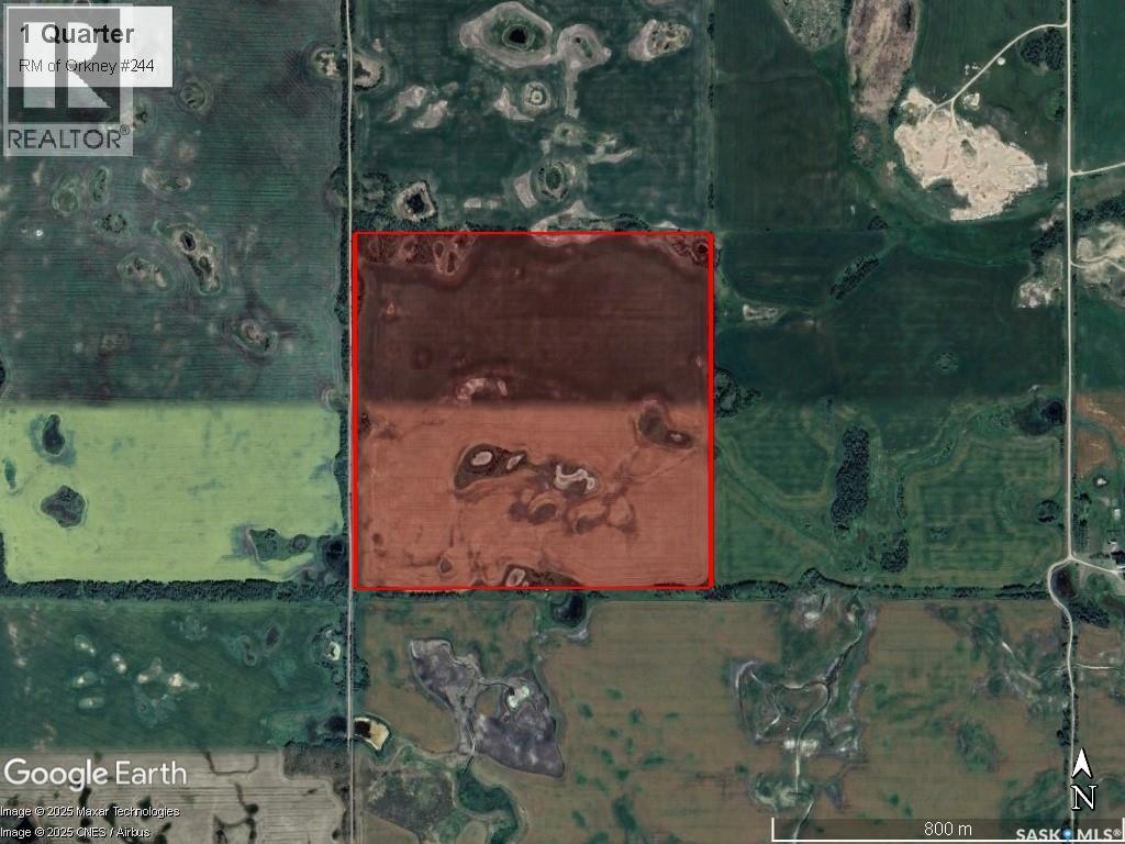 1 Quarter Grainland Near Willowbrook (Oshanek), Orkney Rm No. 244, Saskatchewan S0A 2P0 - Photo 6 - SK037469