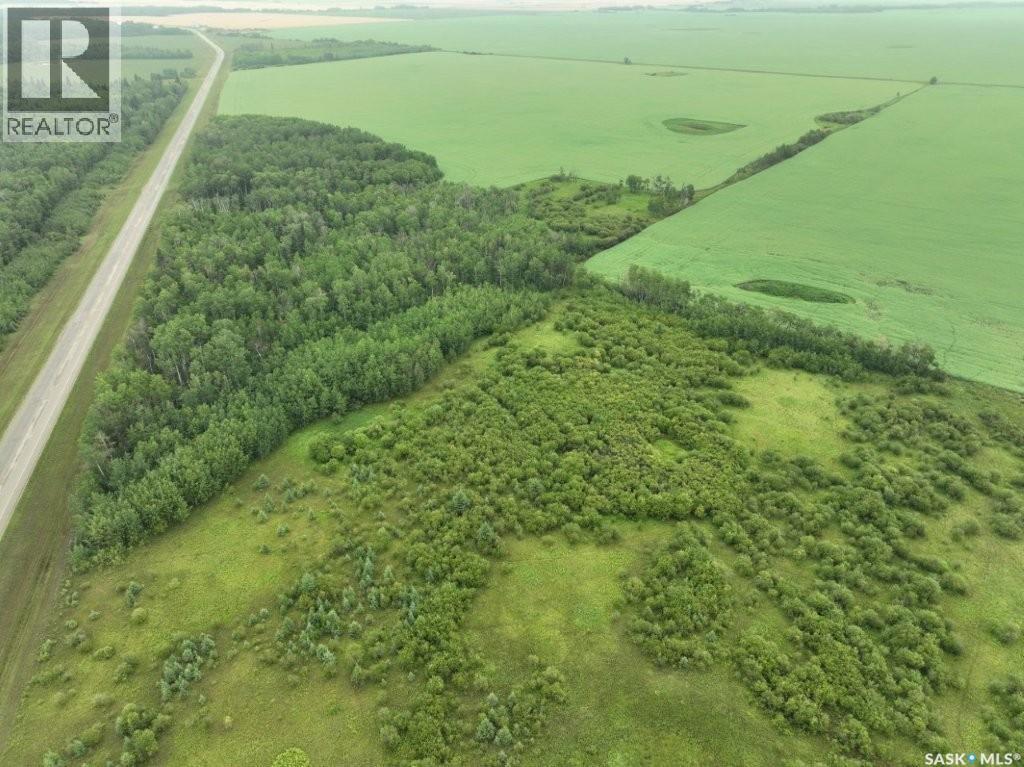 93 Acres Hwy#9 South, Hudson Bay Rm No. 394, Saskatchewan S0E 0Y0 - Photo 5 - SK038134