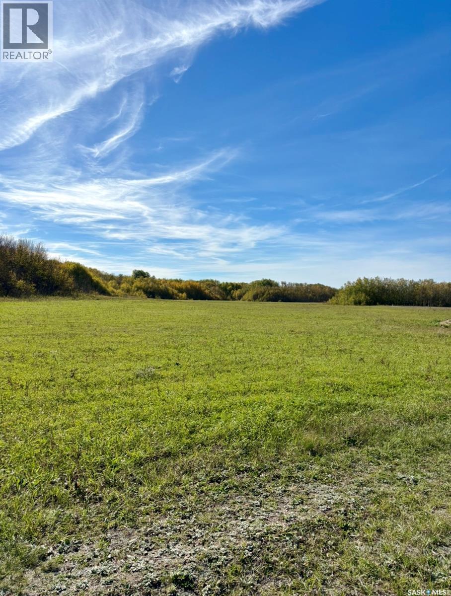 Medstead/ Roundhill Property, Medstead Rm No.497, Saskatchewan S0M 1W0 - Photo 1 - SK038382