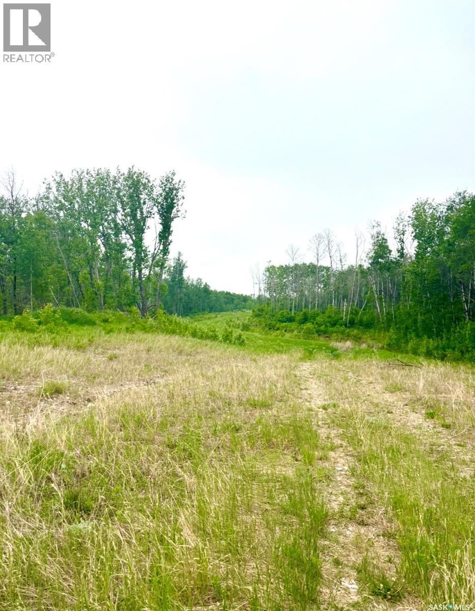 Medstead/ Roundhill Property, Medstead Rm No.497, Saskatchewan S0M 1W0 - Photo 10 - SK038382