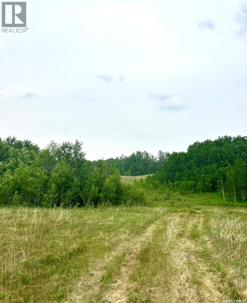 Medstead/ Roundhill Property, Medstead Rm No.497, Saskatchewan S0M 1W0 - Photo 11 - SK038382