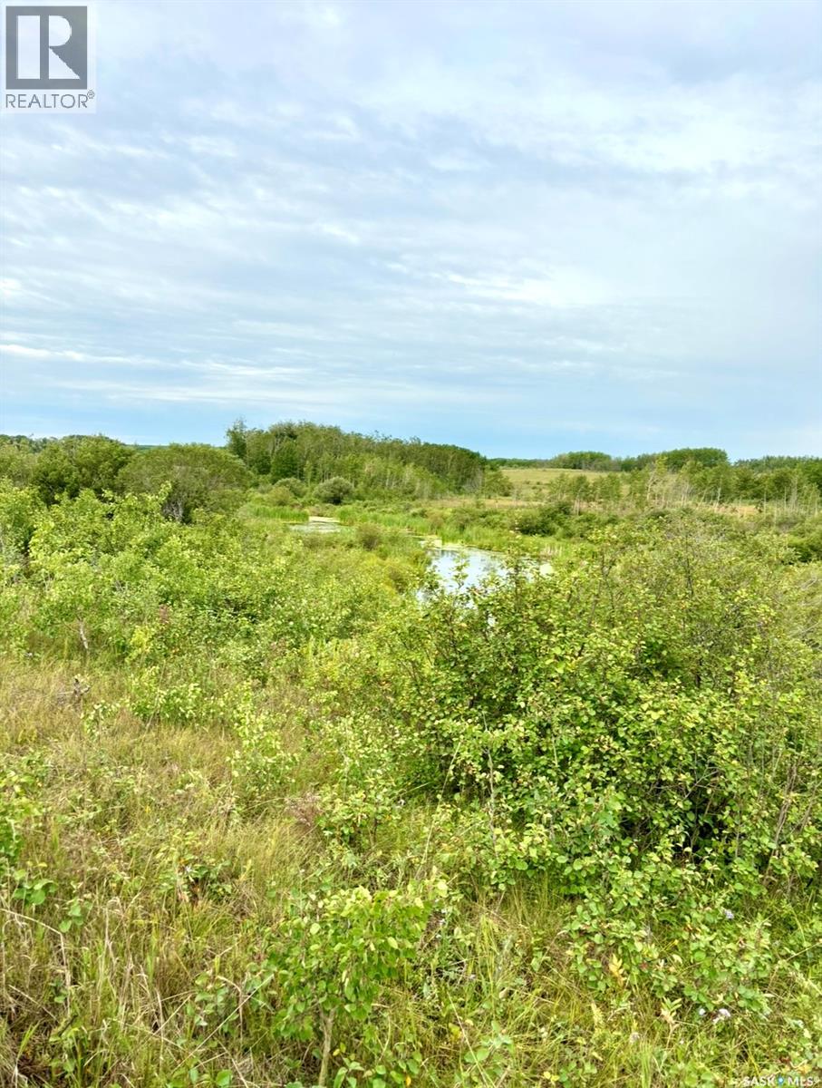 Medstead/ Roundhill Property, Medstead Rm No.497, Saskatchewan S0M 1W0 - Photo 2 - SK038382