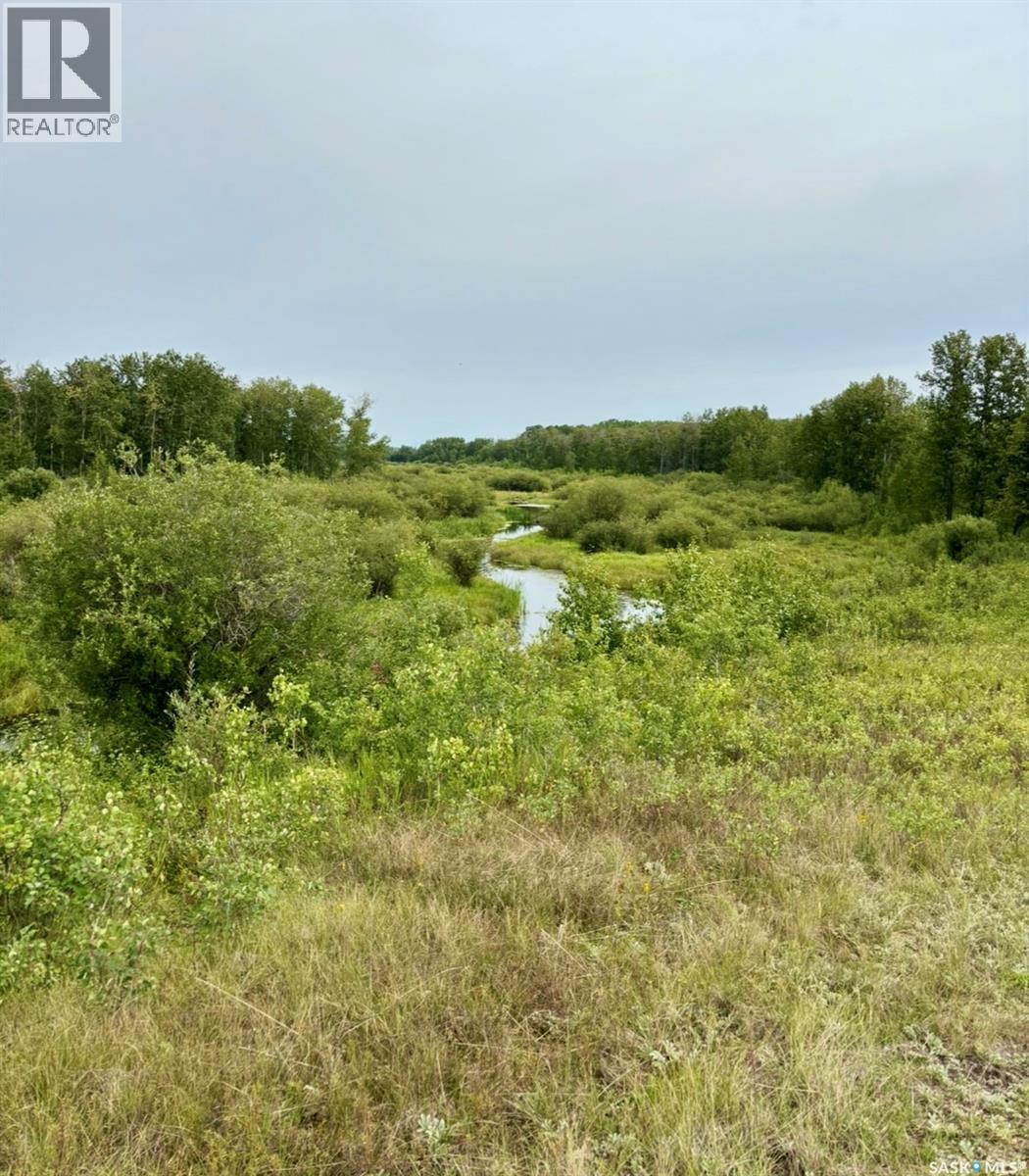 Medstead/ Roundhill Property, Medstead Rm No.497, Saskatchewan S0M 1W0 - Photo 3 - SK038382