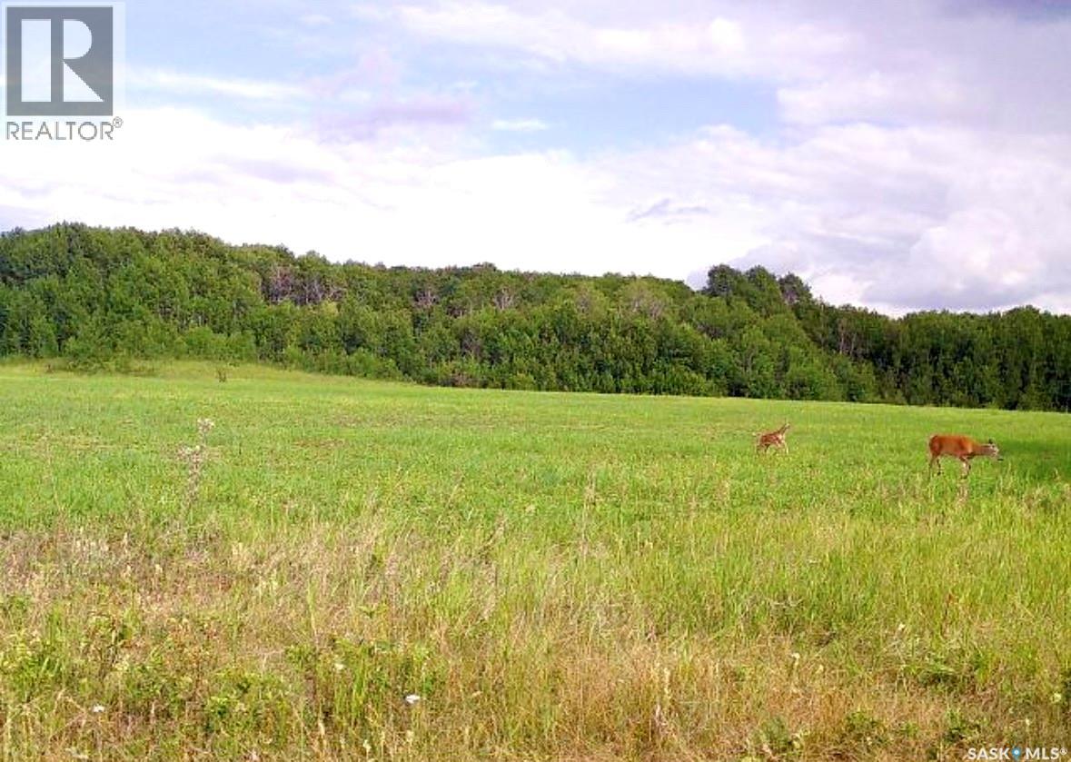 Medstead/ Roundhill Property, Medstead Rm No.497, Saskatchewan S0M 1W0 - Photo 5 - SK038382