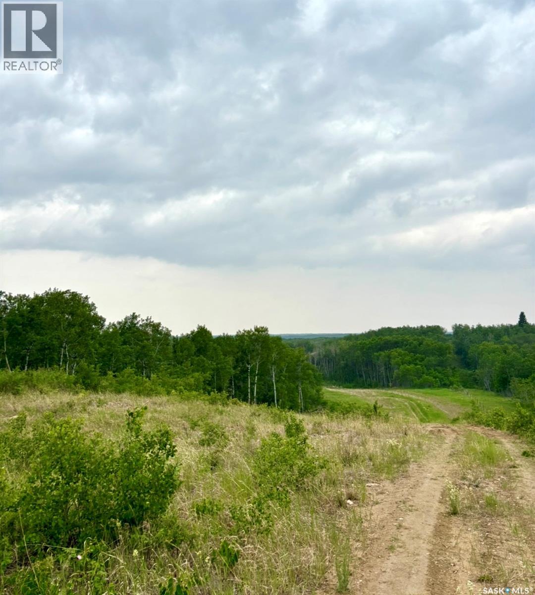 Medstead/ Roundhill Property, Medstead Rm No.497, Saskatchewan S0M 1W0 - Photo 6 - SK038382