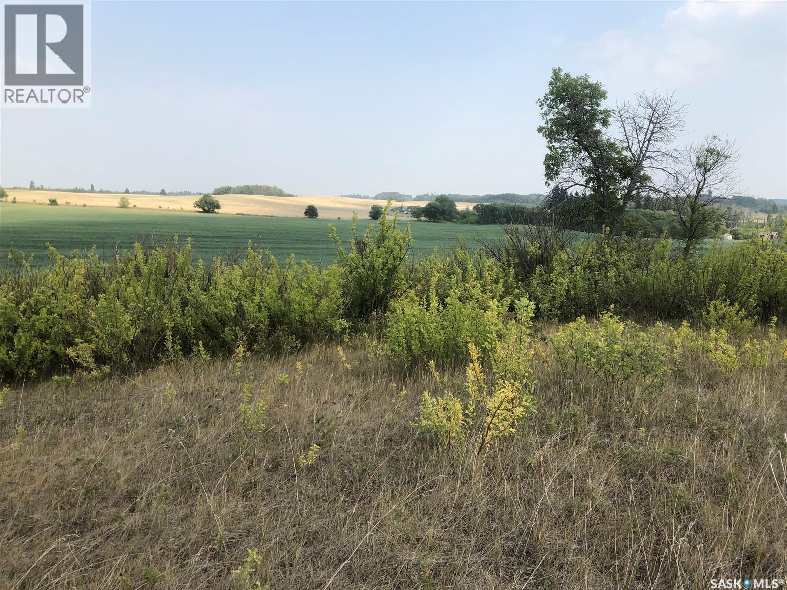 Canwood Farmland, Canwood Rm No. 494, Saskatchewan S0J 0K0 - Photo 4 - SK038252
