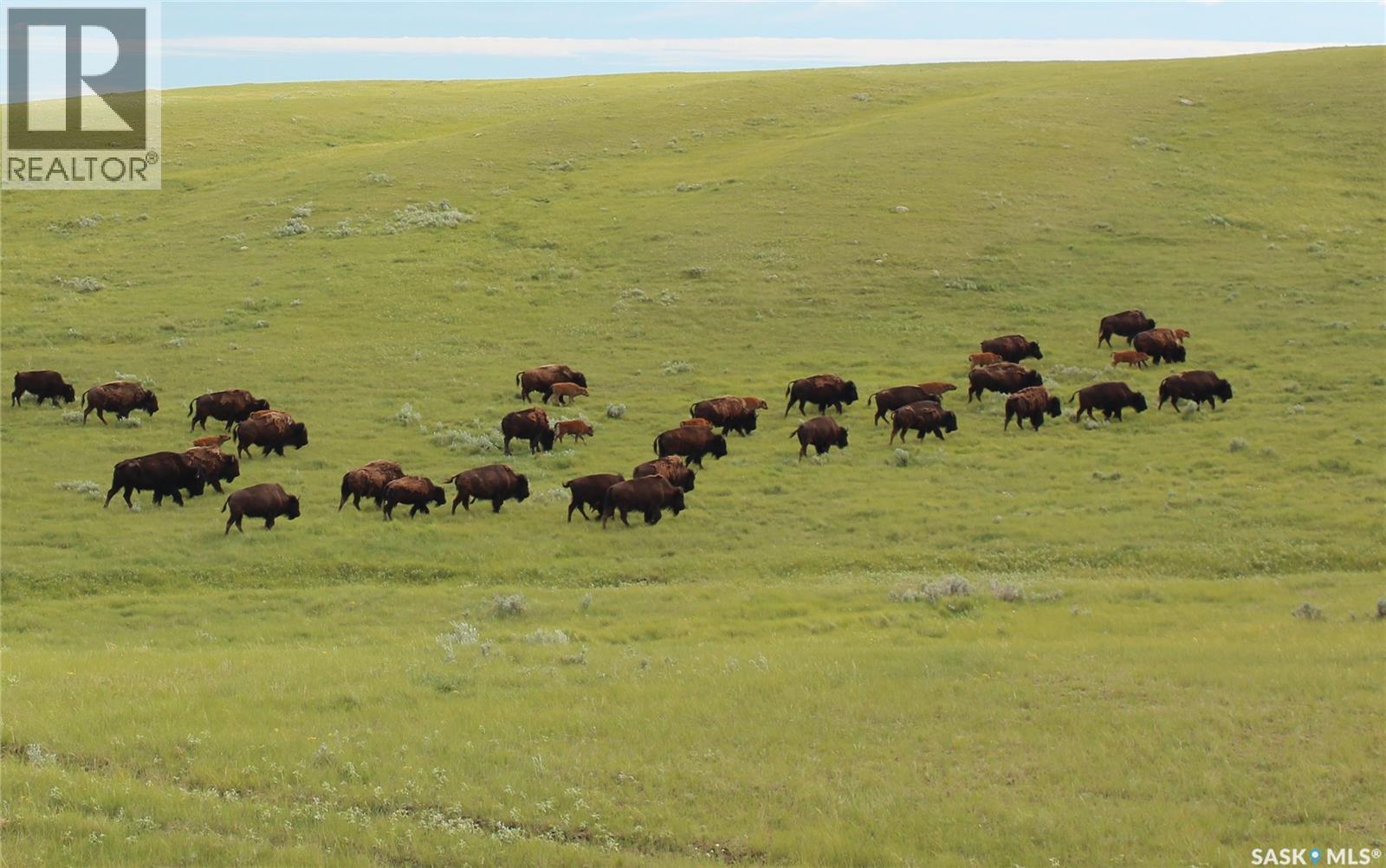 925 Acres Pasture Near Admiral, wise creek rm no. 77, Saskatchewan