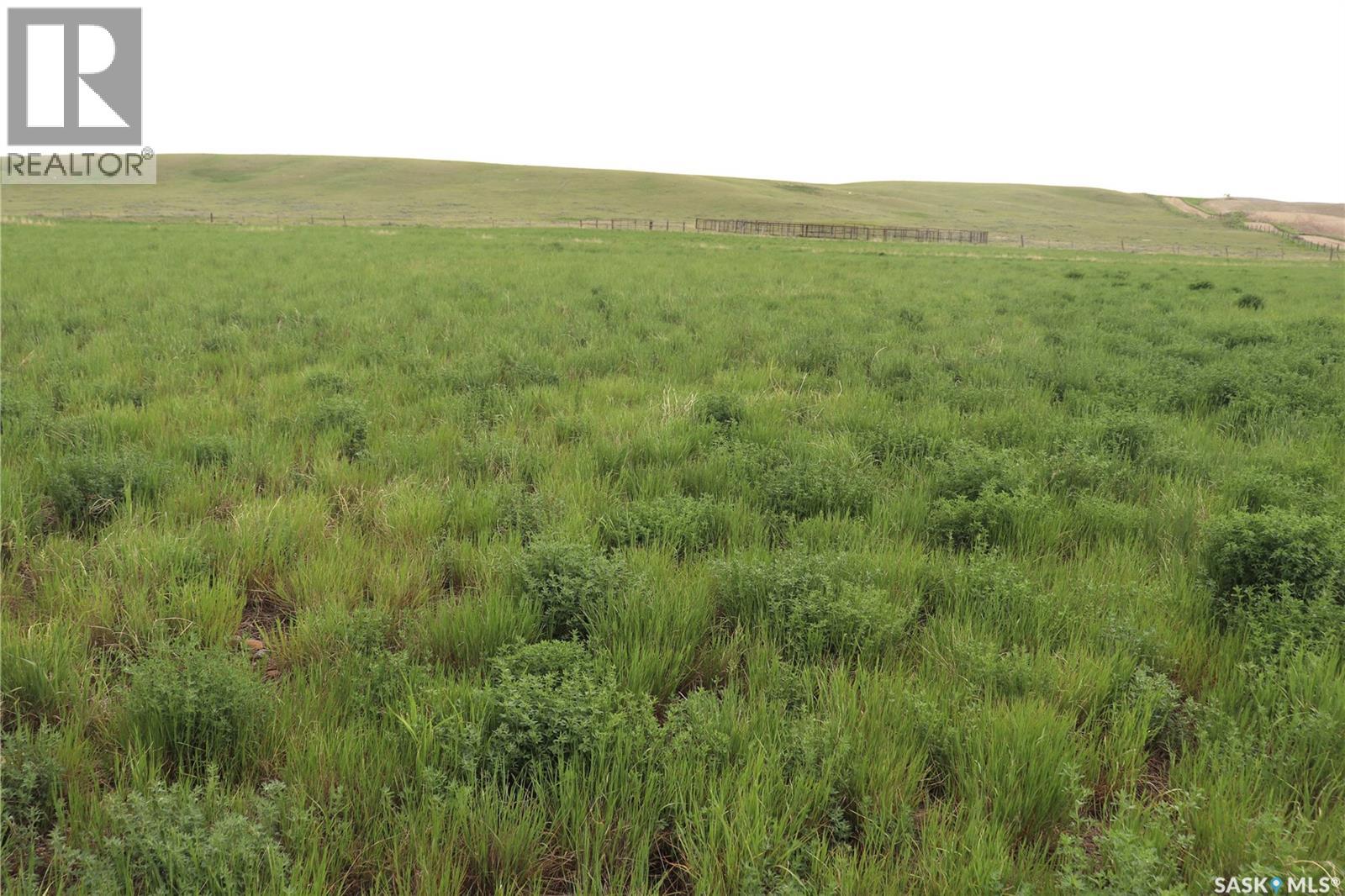 925 Acres Pasture Near Admiral, Wise Creek Rm No. 77, Saskatchewan S0N 0B0 - Photo 10 - SK038623