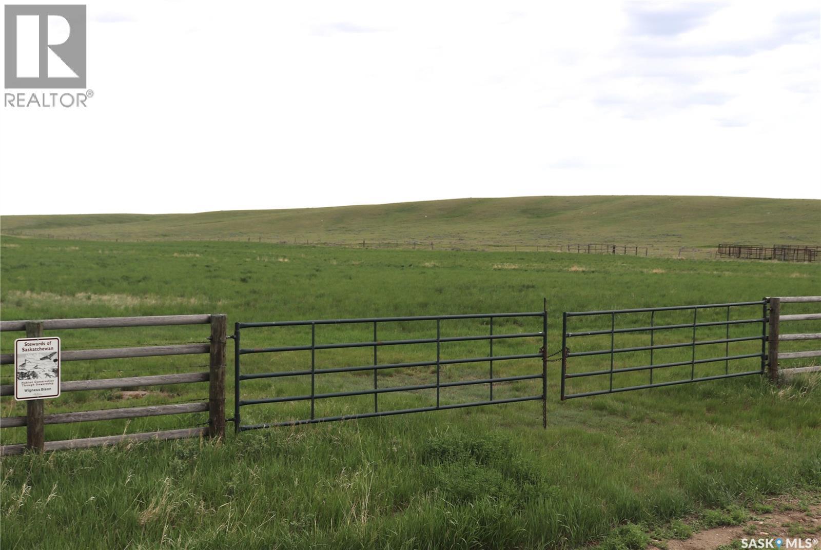 925 Acres Pasture Near Admiral, Wise Creek Rm No. 77, Saskatchewan S0N 0B0 - Photo 11 - SK038623