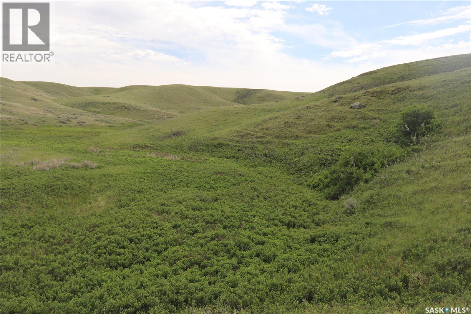 925 Acres Pasture Near Admiral, Wise Creek Rm No. 77, Saskatchewan S0N 0B0 - Photo 15 - SK038623