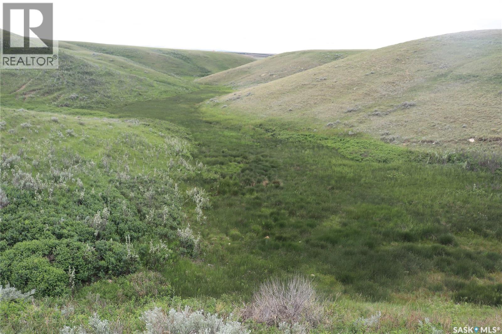 925 Acres Pasture Near Admiral, Wise Creek Rm No. 77, Saskatchewan S0N 0B0 - Photo 17 - SK038623
