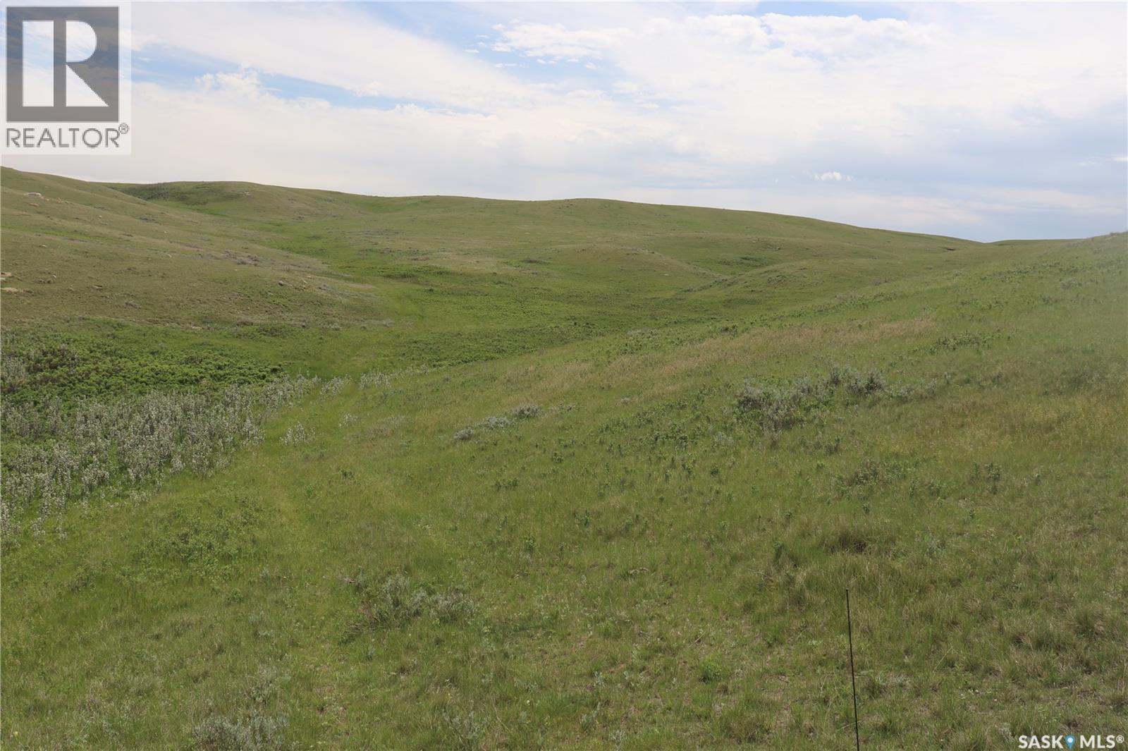925 Acres Pasture Near Admiral, Wise Creek Rm No. 77, Saskatchewan S0N 0B0 - Photo 18 - SK038623